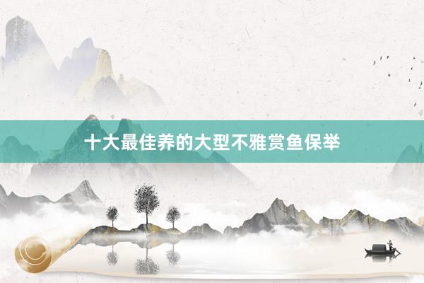 十大最佳养的大型不雅赏鱼保举