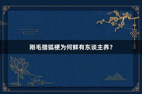 刚毛猎狐梗为何鲜有东谈主养？